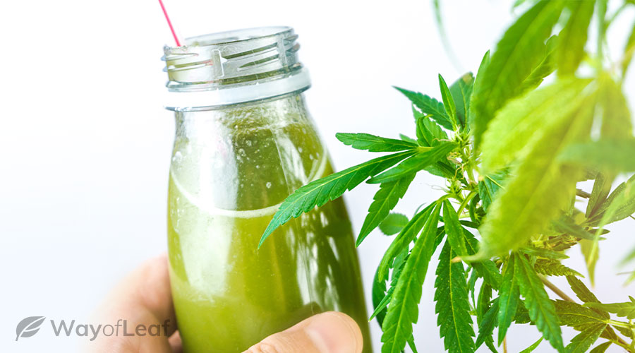 what are cbd drinks?