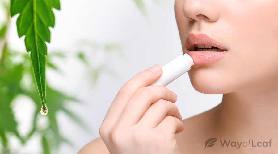 what is cbd lip balm?