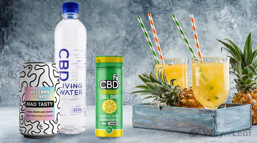 Best CBD Drinks – How Do These Brands Compare?