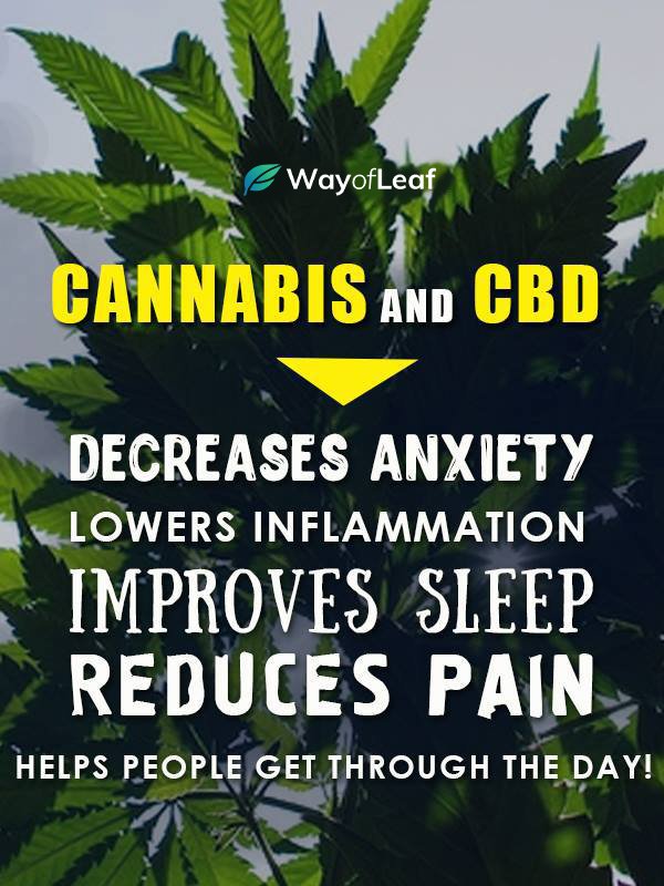 cbd-helps-1-min.jpg