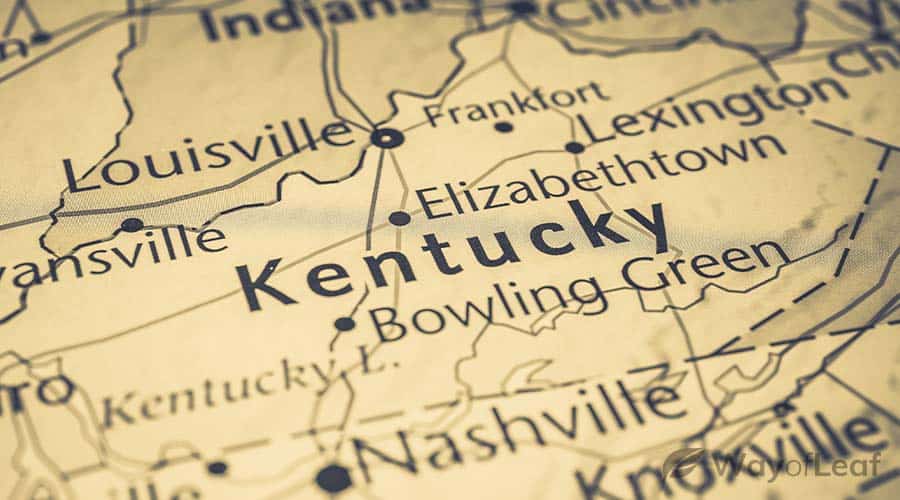 medical-marijuana-card-in-kentucky-1