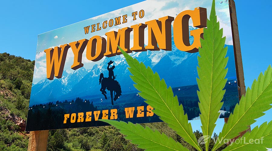 is-weed-legal-in-wyoming