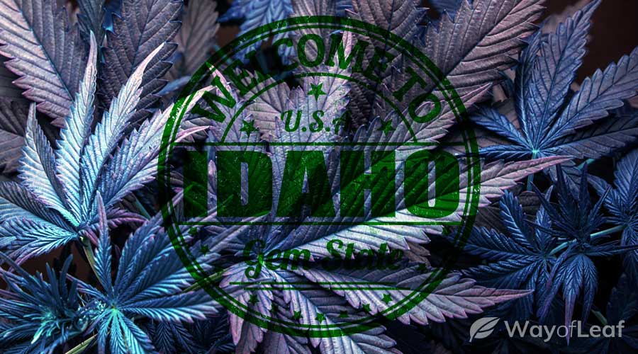 Cannabis and CBD Laws in Idaho: Everything You Need to Know