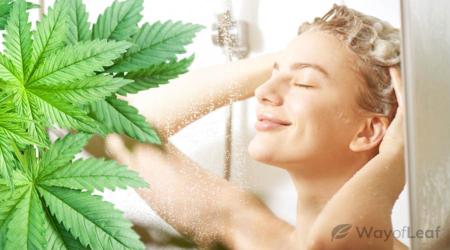 what is cbd shampoo?