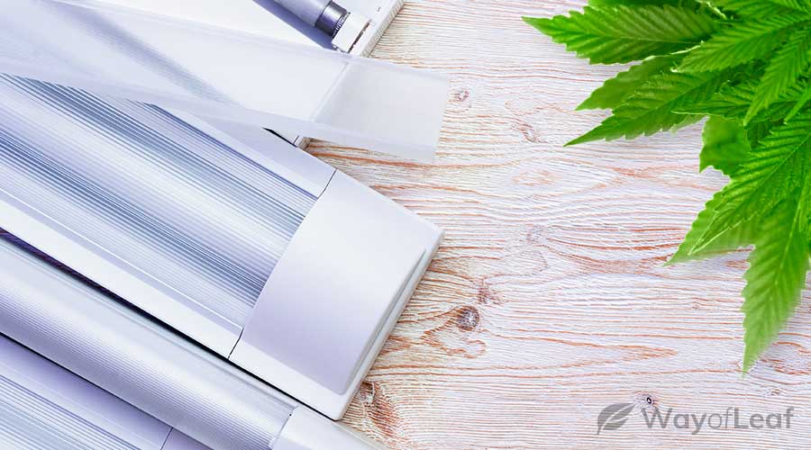 Using fluorescent lights to grow cannabis