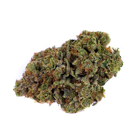 Head Cheese Strain The Complete Review Grower S Guide