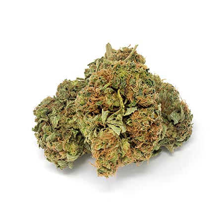 Afgooey (Afgoo) Cannabis Strain [The Complete Review]