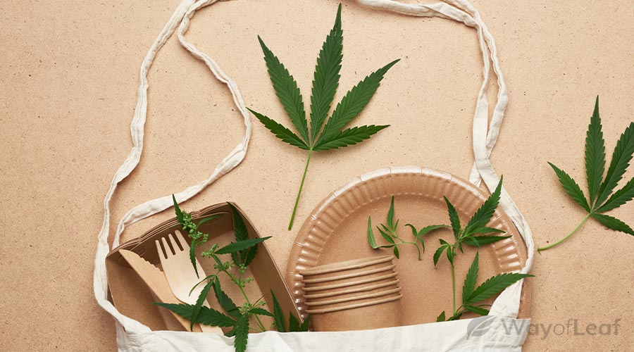 hemp-plastic-is-a-viable-option