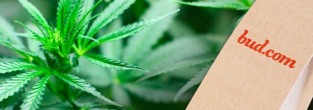 Bud.com Cannabis Delivery Service Review [A Quality Option?]