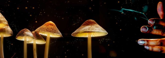 Can You Smoke Magic Mushrooms? [Explained]