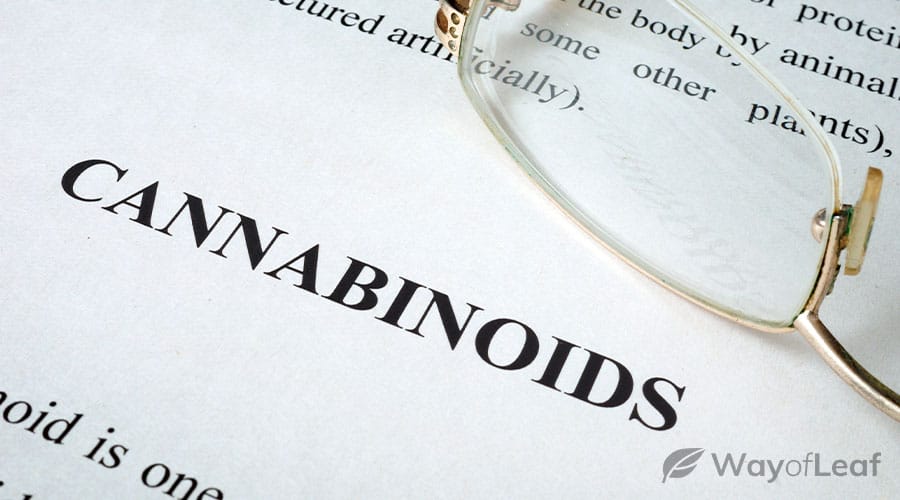 how-many-cannabinoids-are-there-in-total-1